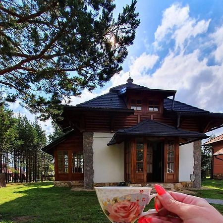 Vila Panic Zlatibor Zewnętrze zdjęcie