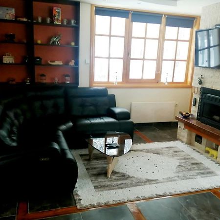 Vila Panic Zlatibor Zewnętrze zdjęcie