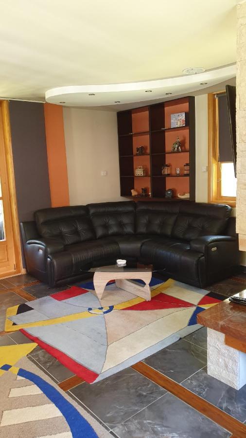 Vila Panic Zlatibor Zewnętrze zdjęcie