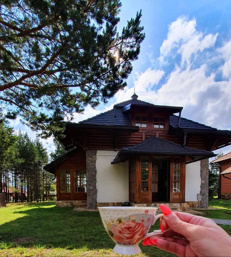 Vila Panic Zlatibor Zewnętrze zdjęcie