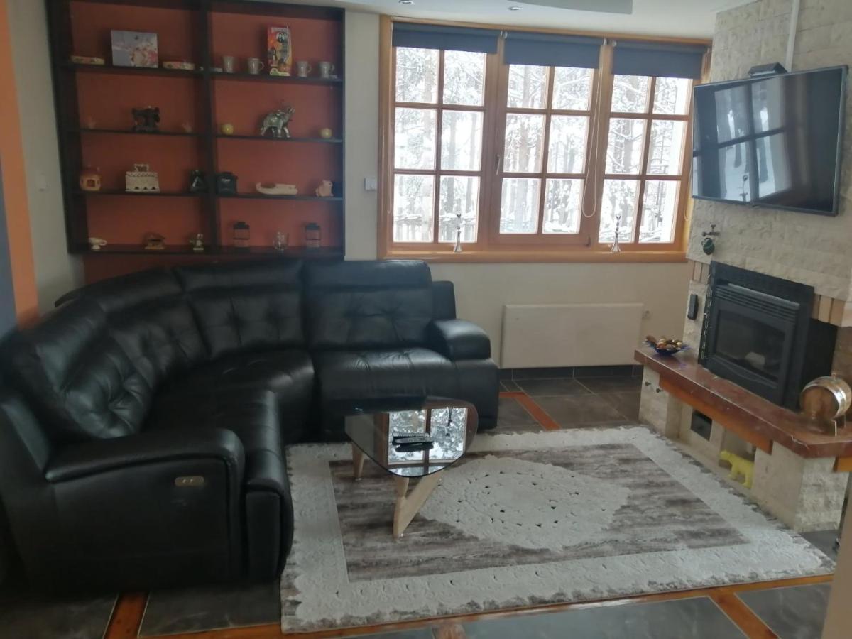 Vila Panic Zlatibor Zewnętrze zdjęcie