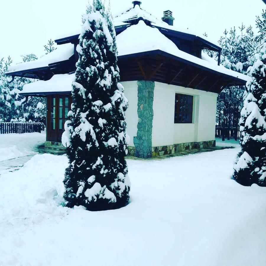 Vila Panic Zlatibor Zewnętrze zdjęcie