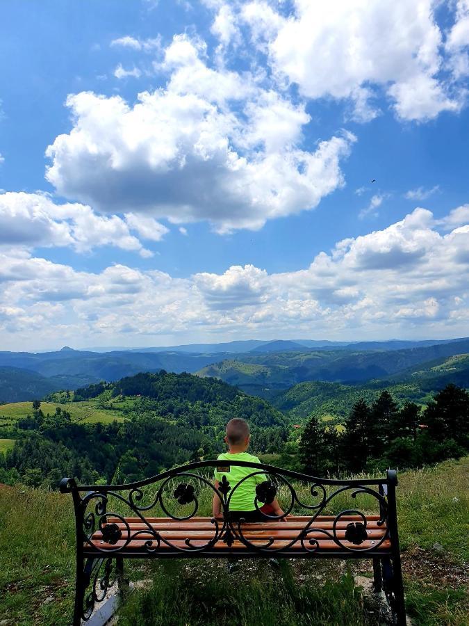 Vila Panic Zlatibor Zewnętrze zdjęcie