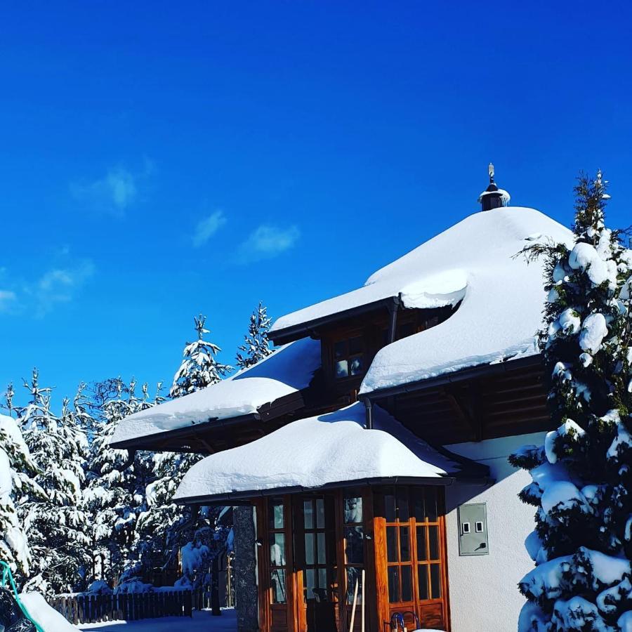 Vila Panic Zlatibor Zewnętrze zdjęcie